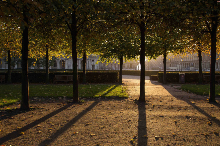 14. Golden light in Jardin des Tuileriesweb